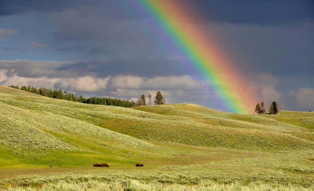 Digitale Regenbogenwelt?