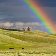 Digitale Regenbogenwelt?